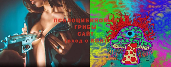 прущие крисы Арсеньев