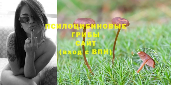 ешки Армянск