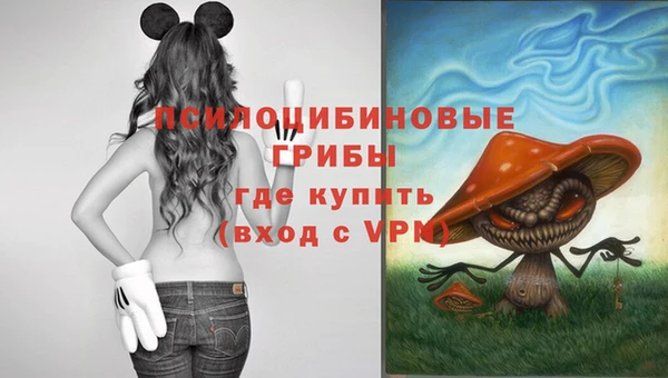 ешки Армянск